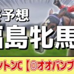 【福島牝馬ステークス2023】ローカル牝馬重賞！クリノプレミアム、ウインピクシスが人気だが本命はあの馬に――！