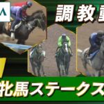 【調教動画】2023年 福島牝馬ステークス｜JRA公式