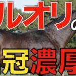 【世代の頂点へ】日本ダービーはソールオリエンス2冠濃厚！？対抗馬は存在するか。