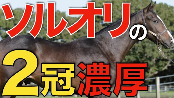 【世代の頂点へ】日本ダービーはソールオリエンス2冠濃厚！？対抗馬は存在するか。