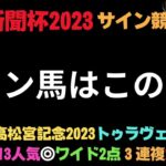 京都新聞杯2023のサイン競馬予想。サイン馬はなかなか面白い穴馬が出てきております。さあ、枠順次第では勝負できるかも？