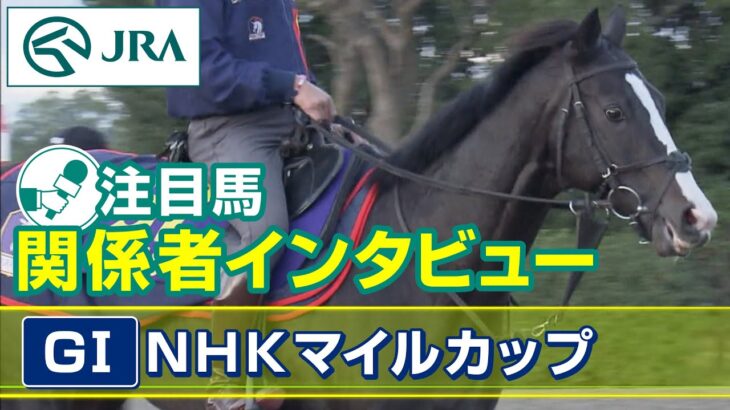 【注目馬 関係者インタビュー】2023年 NHKマイルカップ｜JRA公式