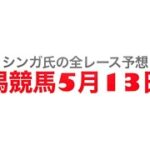 5月13日新潟競馬【全レース予想】信濃川特別2023