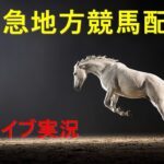 【地方競馬】　朝から生競馬　ライブ配信　（新潟→東京→京都）Horse Racing Commentary
