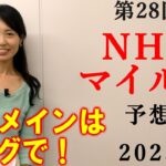 【競馬】NHKマイルカップ 2023 予想 (京都メインの鞍馬ステークスの予想はブログで)