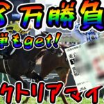 【競馬】ヴィクトリアマイルの週に１８万円勝負！