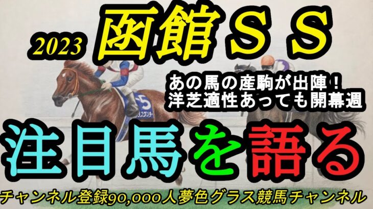 【注目馬を語る】2023函館スプリントステークス！あの馬の産駒が登場！函館の洋芝でも開幕週は高速馬場？